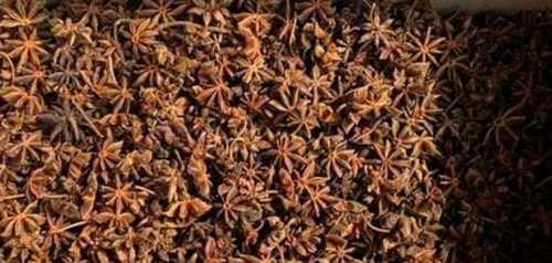 Black Natural Dried Star Aniseed