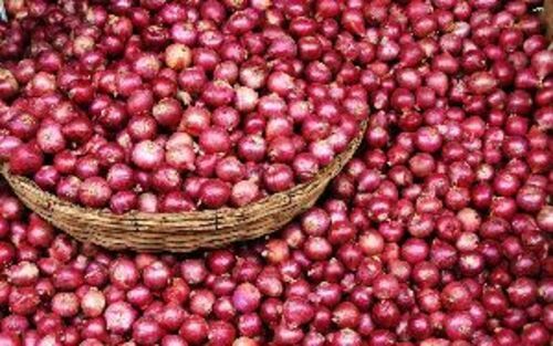 Organic Fresh Red Rose Onion - Size 55mm+, 60mm+, 65mm+ | Chopped, Cooked, Round Shape, 15 Days Shelf Life, Store in Cool and Dry Place