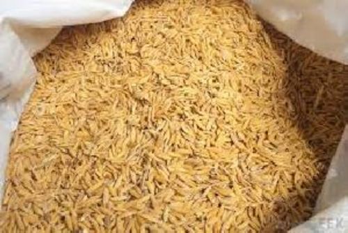 Yellow Brown Paddy Rice For Food