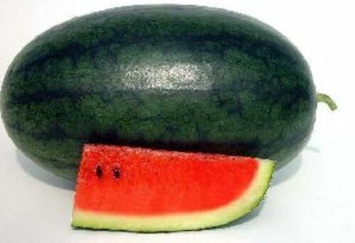 Fresh Natural Green Watermelon