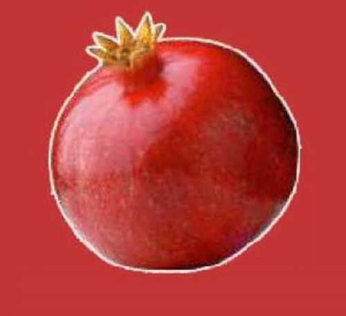 Red Fresh Organic Pomegranate Fruits