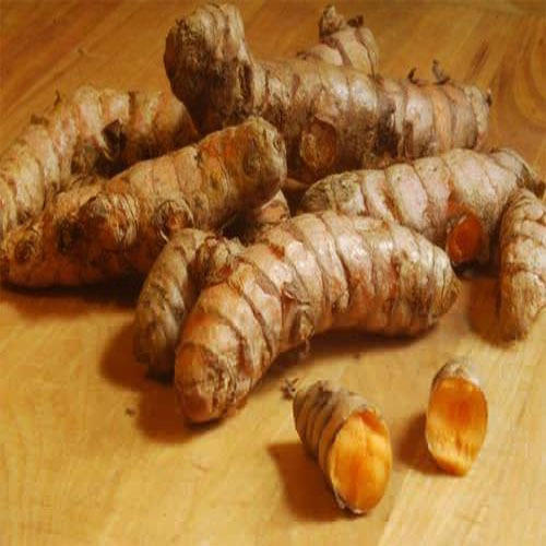 Yellow Natural Raw Fresh Finger Turmeric