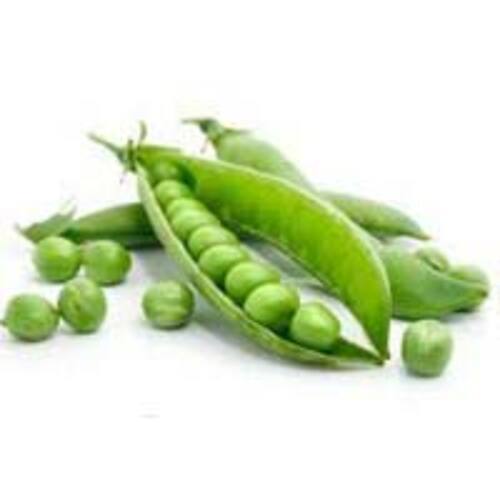 Fresh Green Peas For Cooking Preserving Compound: Cool And Dry Place