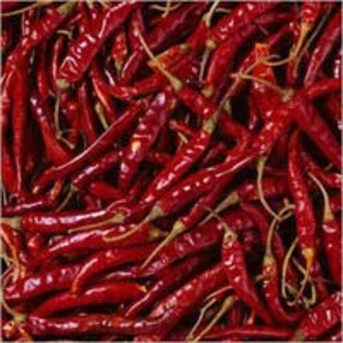 Fresh Red Chilli for Food