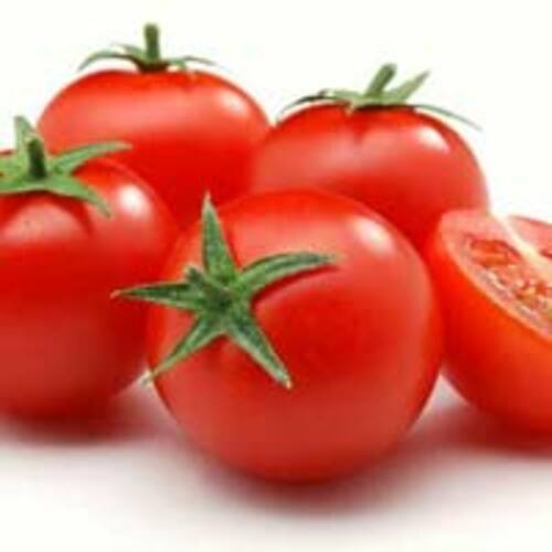 Fresh Red Tomato for Cooking