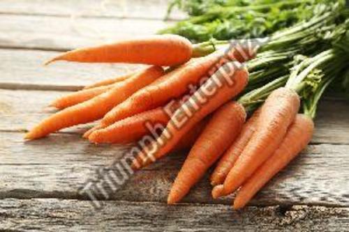 Fresh Organic Carrot For Food Preserving Compound: Cool And Dry Place