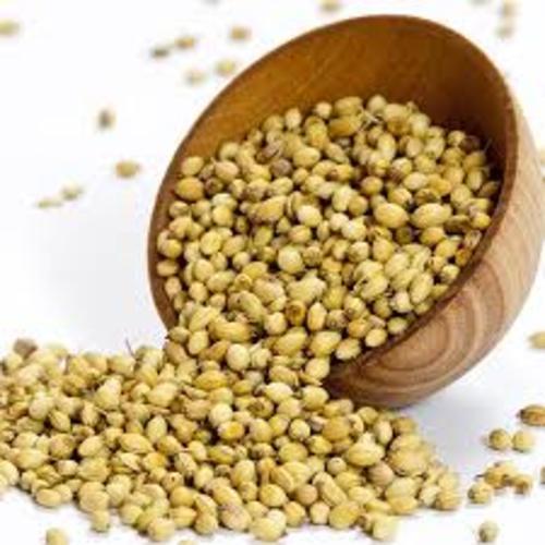 Brown Natural Organic Coriander Seeds