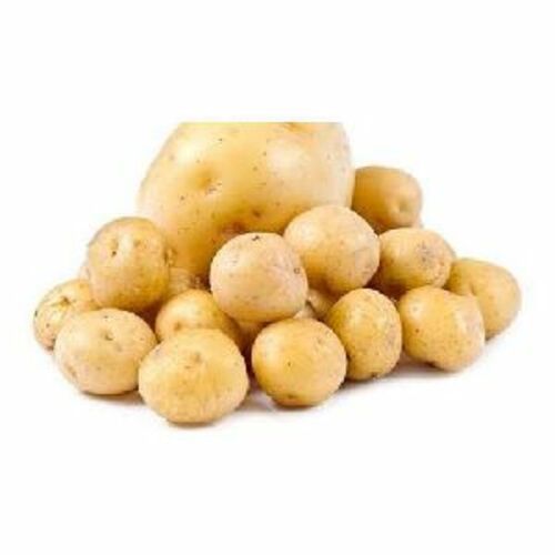 Fresh Laukar Potato For Cooking