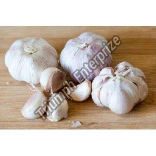 Fresh Natural Garlic for Cooking