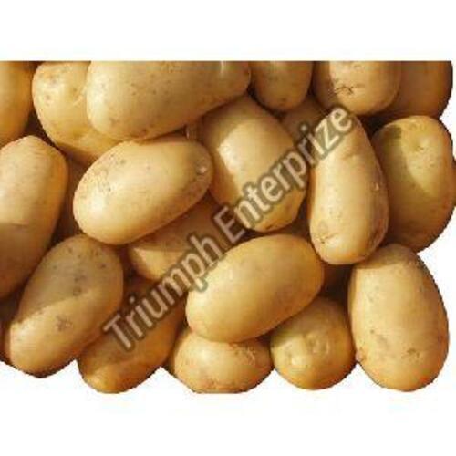 Fresh Natural Potatoes For Cooking Preserving Compound: Cool And Dry Place