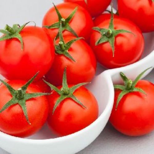 Fresh Natural Tomato For Cooking Preserving Compound: Cool And Dry Place