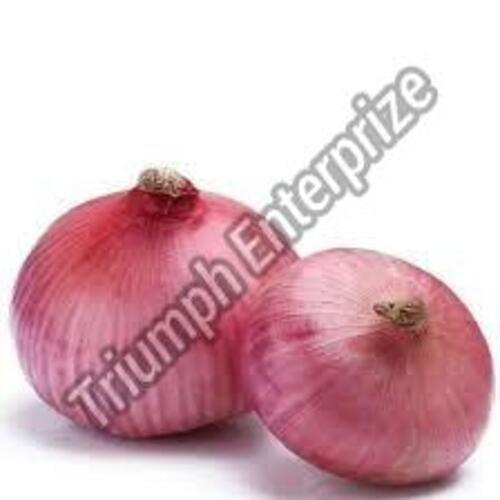 Fresh Organic Onion For Cooking Preserving Compound: Cool And Dry Place