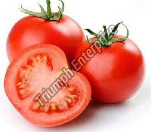 Fresh Organic Tomato for Cooking