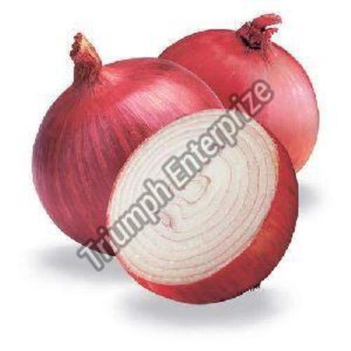 Fresh Pink Onion for Cooking