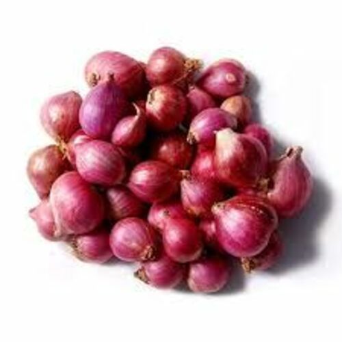 Fresh Sambar Onion for Cooking