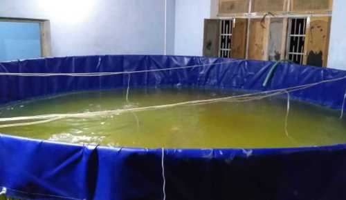 PVC Coated Bio Flock Aquaculture Tank Tarpaulin