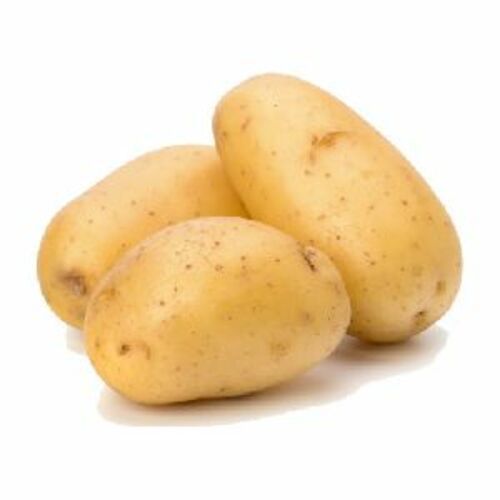 A Grade Fresh Potato For Cooking