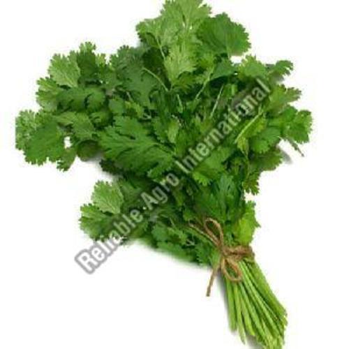 Fresh Green Coriander Leaves Preserving Compound: Cool And Dry Place