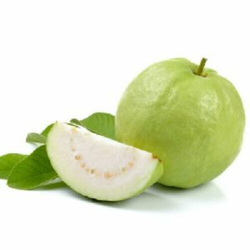 Fresh Green Guava Fruits