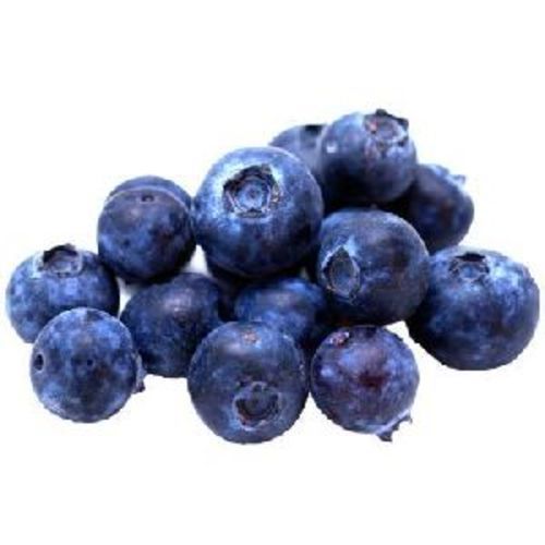 Black Fresh Organic Blueberry Fruits