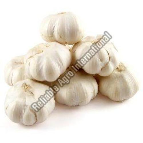 Fresh White Natural Garlic