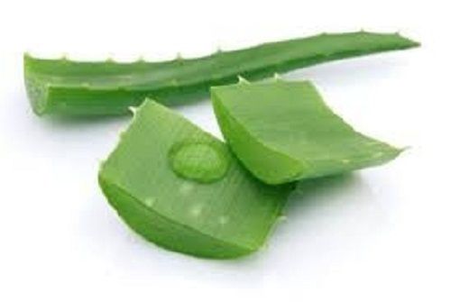 Herbal Aloe Vera Gel