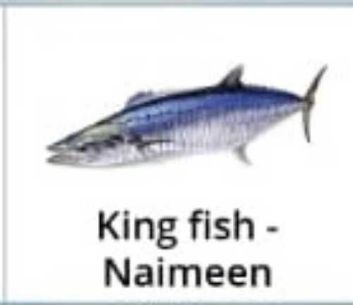 Fresh King Fish Naimeen At Price 140 Inr Kilograms In Madurai Id 6483797