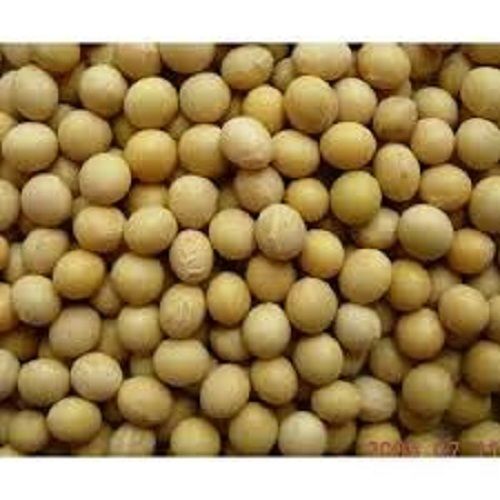 Organic Hybrid Soybean Seeds