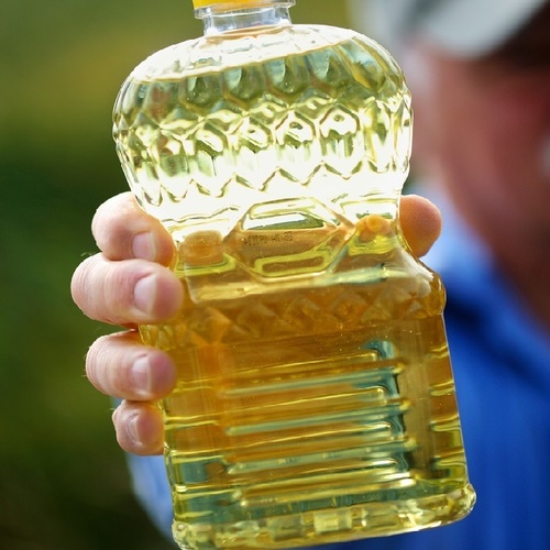 Pure Unsaturated Canola Oil Certifications Gmp, Price Range 100.00