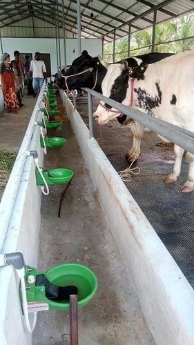 Automatic Cattle Water Bowl