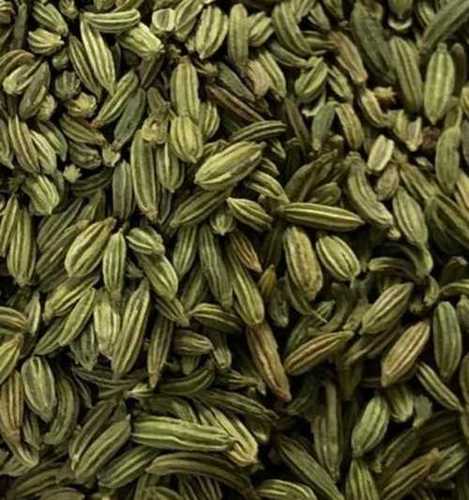 Dried And Cleaned Fennel Seeds