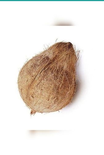 Brown Natural Coconut Semi Husked