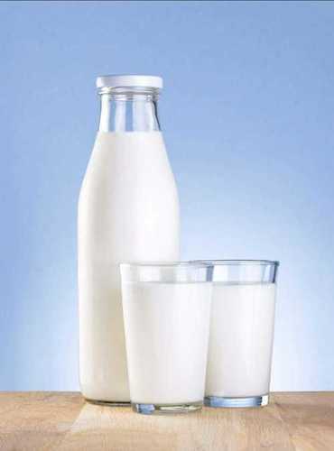 Jersey Cow Milk Age Group: Old-Aged