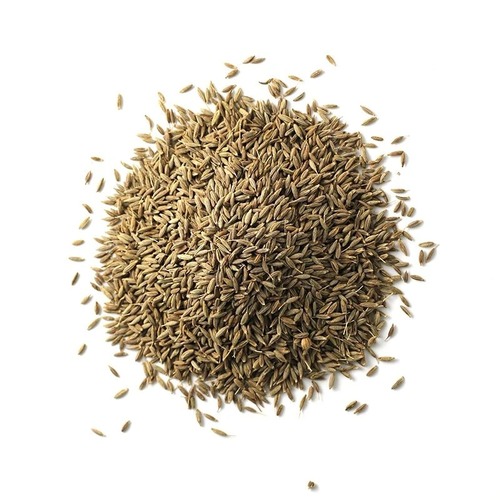 Dried Cumin Seeds (Jeera)