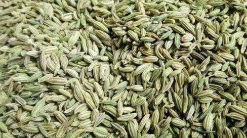 Dried Fennel Seeds