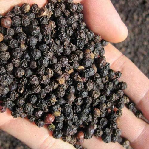 Dried Round Black Pepper Grade: A