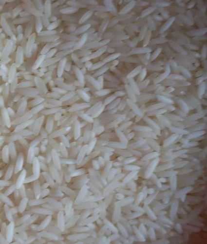 Short Grain Lachkari Kolam Rice