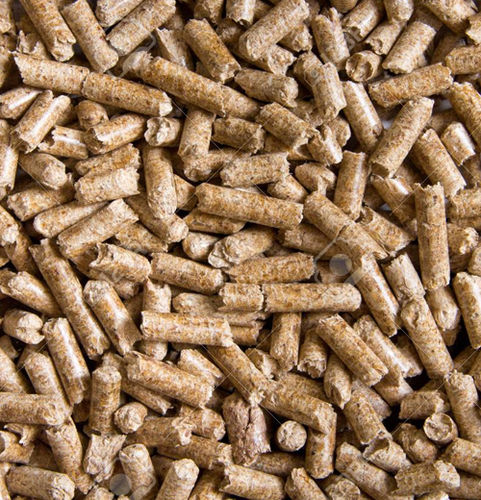 Briquette Eco Friendly Biomass Pellets