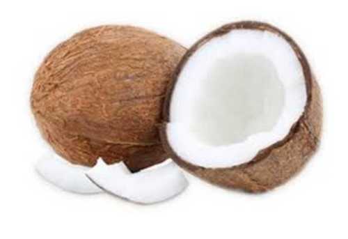 Common 100% Matured Fresh Coconut