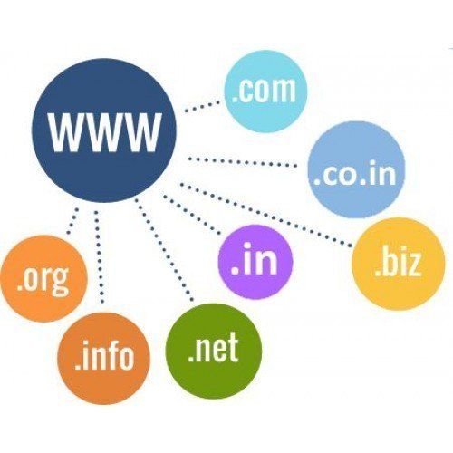 Domain Name Registration Service