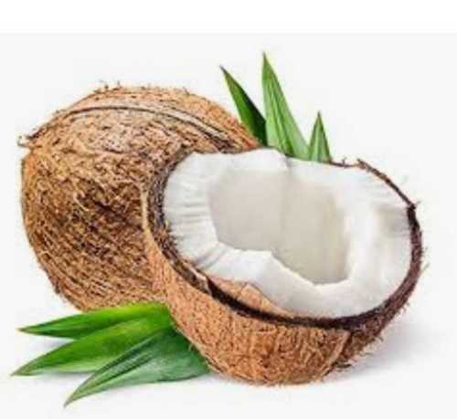 Common A Grade Fresh Coconut