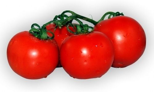 Chemical Free Fresh Tomato
