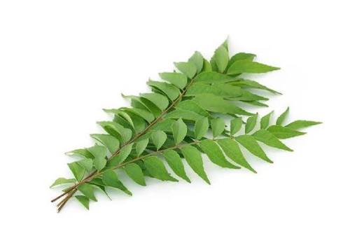 Natural Aromatic Curry Leaves