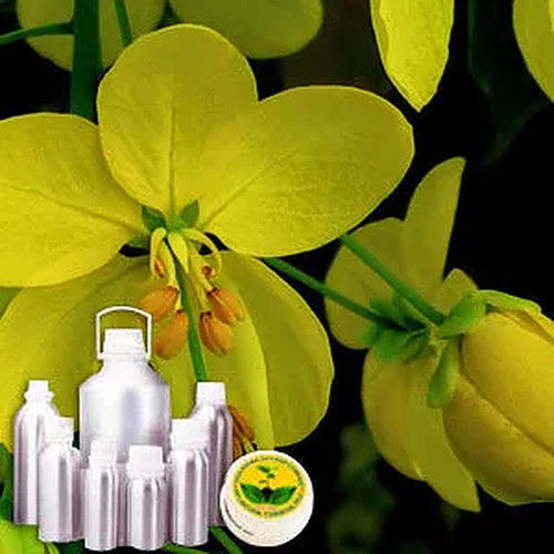 Cassia Therapeutic Grade Oil