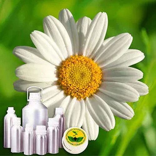 Chamomile Therapeutic Grade Oil German