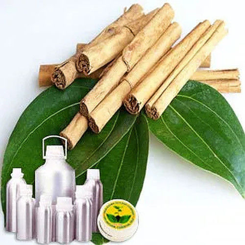Cinnamon Therapeutic Grade Oil