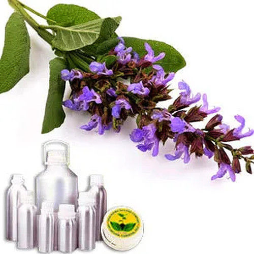 Clary Sage Therapeutic Grade Oil Cas No: 8016-63-5