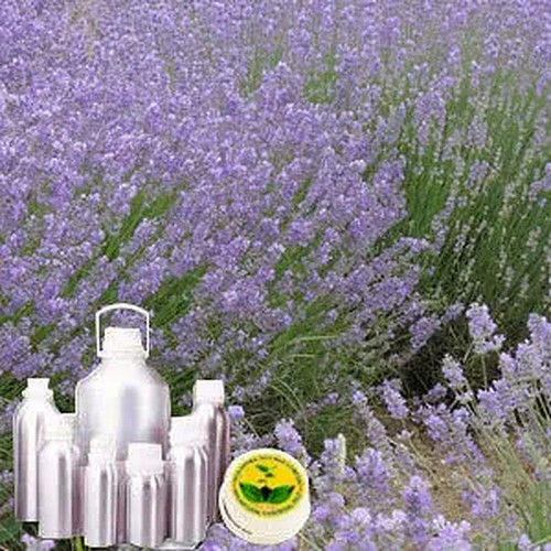 Colorless Lavender Oil Bulgerian