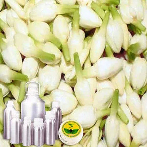 Jasmine Therapeutic Grade Oil Cas No: 84776-64-7