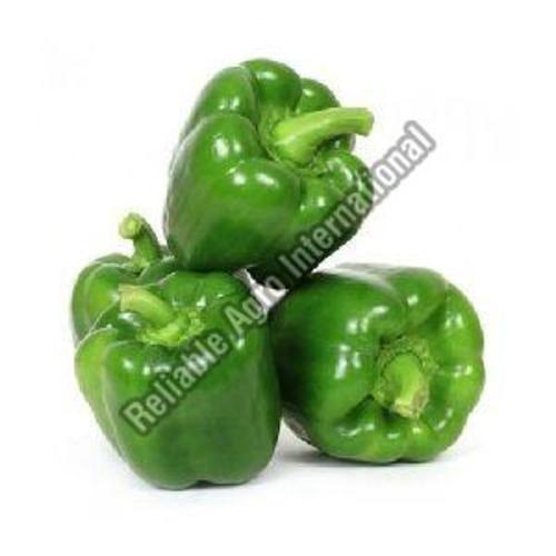 Fresh Green Capsicum For Cooking Preserving Compound: Cool And Dry Place